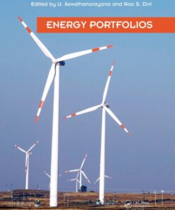Energy Portfolios eBook
