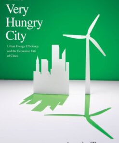 The Very Hungry City: Urban Energy Efficiency and the Economic Fate of Cities eBook