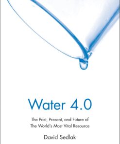 Water 4.0: The Past, Present, and Future of the World's Most Vital Resource eBook