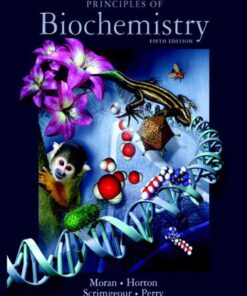 Principles of Biochemistry, 5th Edition eBook