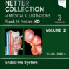 The Netter Collection of Medical Illustrations: Endocrine System, Volume 2 eBook