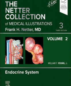 The Netter Collection of Medical Illustrations: Endocrine System, Volume 2 eBook