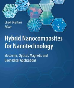 Hybrid Nanocomposites for Nanotechnology: Electronic, Optical, Magnetic and Biomedical Applications eBook