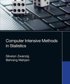 Computer Intensive Methods in Statistics, 1st Edition eBook