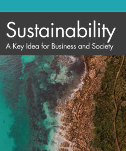 Sustainability: A Key Idea for Business and Society eBook