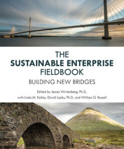 The Sustainable Enterprise Fieldbook: Building New Bridges eBook