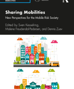Sharing Mobilities: New Perspectives for the Mobile Risk Society eBook