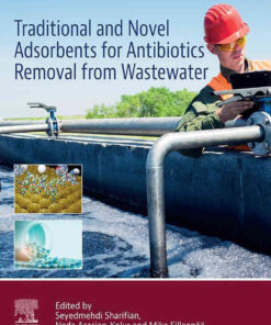 Traditional and Novel Adsorbents for Antibiotics Removal from Wastewater eBook