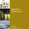 Biomass, Biofuels, Biochemicals: Biofuels from Algae eBook