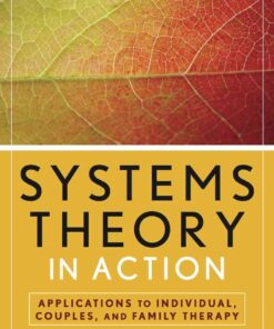 Systems Theory in Action: Applications to Individual, Couple, and Family Therapy, 1st Edition eBook