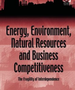 Energy, Environment, Natural Resources and Business Competitiveness: The Fragility of Interdependence eBook