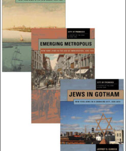 City of Promises: A History of the Jews of New York, 3-volume box set eBook