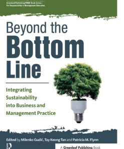 Beyond the Bottom Line: Integrating Sustainability into Business and Management Practice eBook