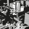 Practiceopolis: Stories from the Architectural Profession eBook