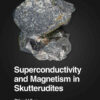 Superconductivity and Magnetism in Skutterudites eBook