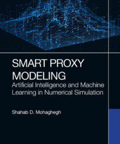 Smart Proxy Modeling: Artificial Intelligence and Machine Learning in Numerical Simulation eBook