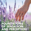 Foundations of Sensation and Perception, 4th Edition eBook