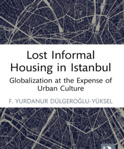 Lost Informal Housing in Istanbul: Globalization at the Expense of Urban Culture eBook
