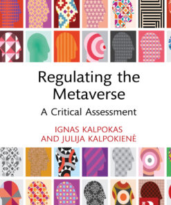 Regulating the Metaverse: A Critical Assessment eBook
