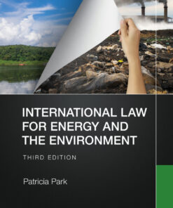 International Law for Energy and the Environment eBook