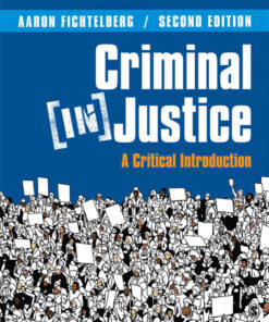 Criminal (In)Justice: A Critical Introduction, 2nd Edition eBook