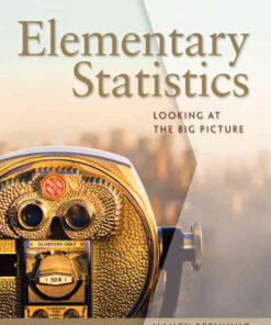 Elementary Statistics: Looking at the Big Picture, 1st Edition eBook