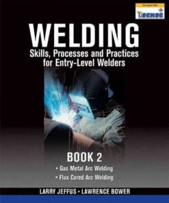 Welding Skills, Processes and Practices for Entry-Level Welders: Book 2 eBook