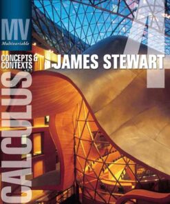 Multivariable Calculus: Concepts and Contexts, 4th Edition eBook