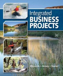 Integrated Business Projects, 3rd Edition eBook
