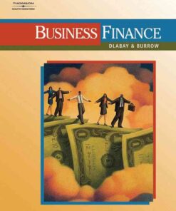 Business Finance, 1st Edition eBook
