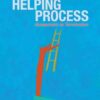 Helping Process: Assessment to Termination, 1st Edition eBook