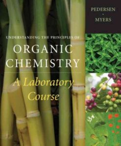 Understanding the Principles of Organic Chemistry: A Laboratory Course, 1st Edition eBook