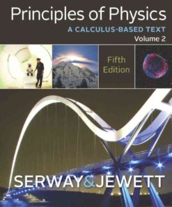 Principles of Physics: A Calculus-Based Text, Volume 2, 5th Edition eBook