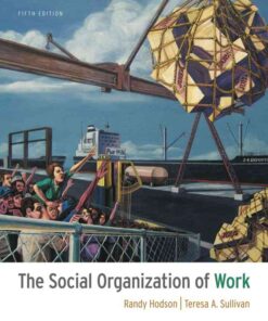 The Social Organization of Work, 5th Edition eBook
