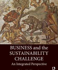 Business and the Sustainability Challenge: An Integrated Perspective eBook