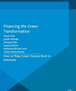 Financing the Green Transformation: How to Make Green Finance Work in Indonesia eBook