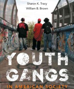 Youth Gangs in American Society, 4th Edition eBook