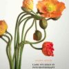 Case Studies in Psychotherapy, 7th Edition eBook