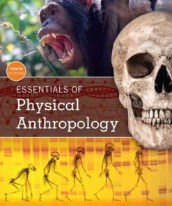 Essentials of Physical Anthropology, 10th Edition eBook