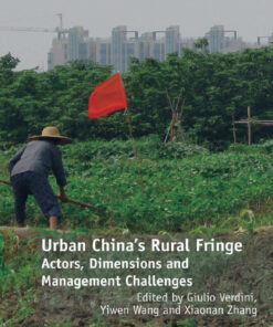 Urban China's Rural Fringe: Actors, Dimensions and Management Challenges eBook