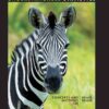 Understandable Statistics: Concepts and Methods, 12th Edition eBook