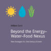 Beyond the Energy–Water–Food Nexus: New Strategies for 21st-Century Growth eBook