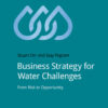 Business Strategy for Water Challenges: From Risk to Opportunity eBook
