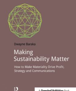 Making Sustainability Matter: How to Make Materiality Drive Profit, Strategy and Communications eBook