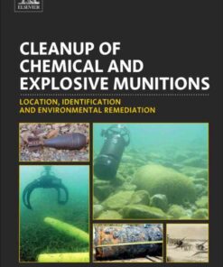 Cleanup of Chemical and Explosive Munitions: Location, Identification and Environmental Remediation eBook