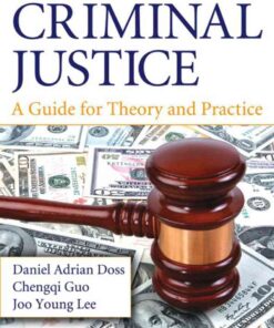 The Business of Criminal Justice: A Guide for Theory and Practice eBook