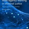 Multi-Agency Working in Criminal Justice: Theory, Policy and Practice, 2nd Edition eBook