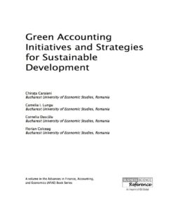 Green Accounting Initiatives and Strategies for Sustainable Development eBook