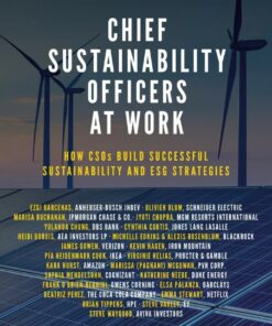 Chief Sustainability Officers At Work: How CSOs Build Successful Sustainability and ESG Strategies eBook