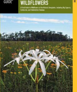 Everglades Wildflowers: A Field Guide to Wildflowers of the Historic Everglades, including Big Cypress, Corkscrew, and Fakahatchee Swamps eBook